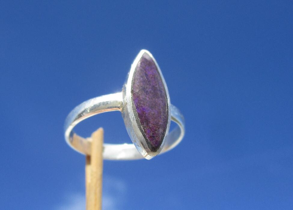 Bilder das-bernsteinzimmer