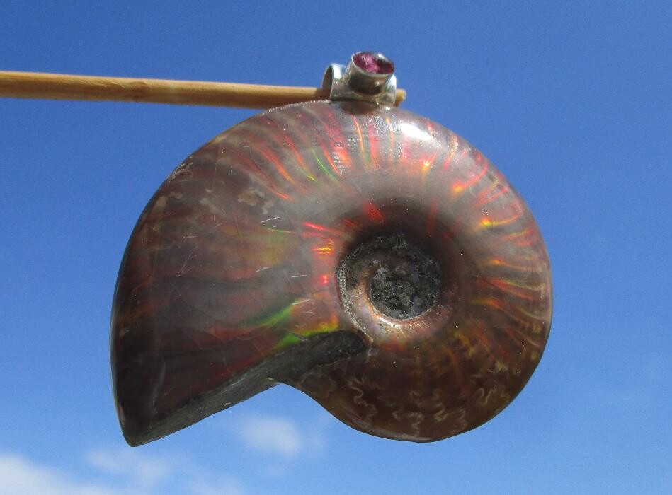 Bilder das-bernsteinzimmer