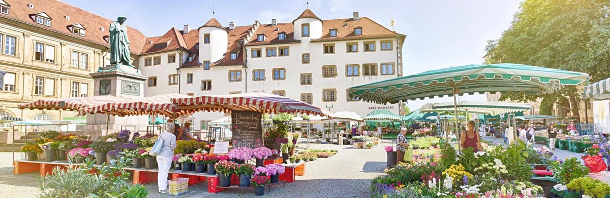 Bilder Somnitz-Früchte