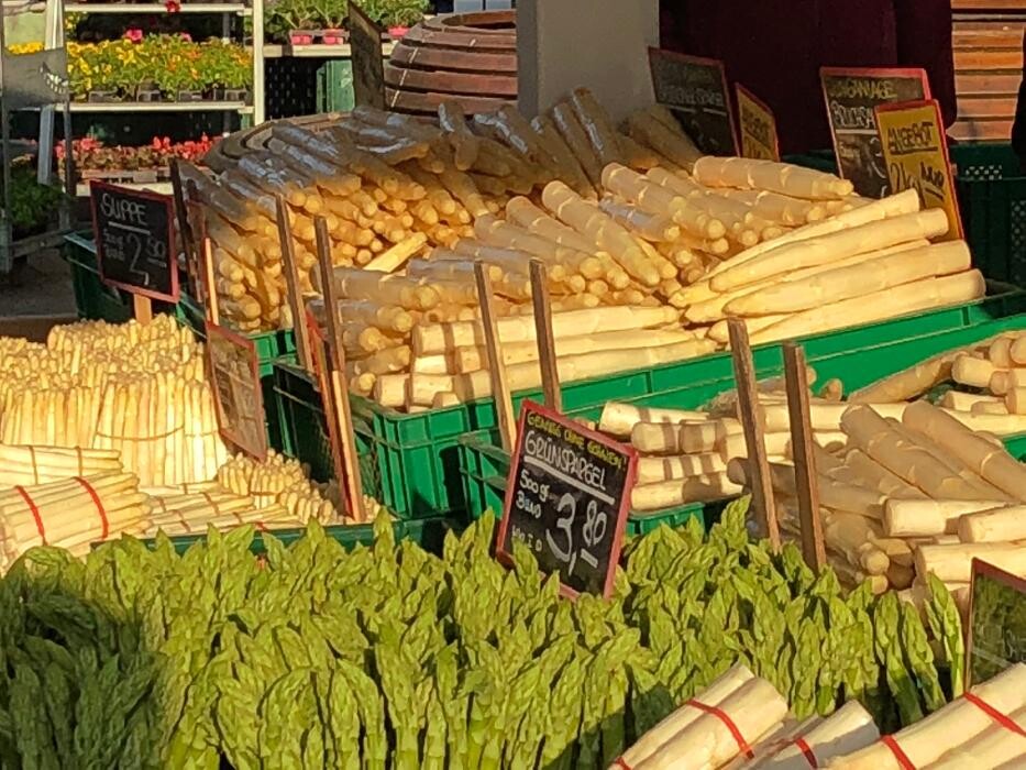 Bilder Somnitz-Früchte