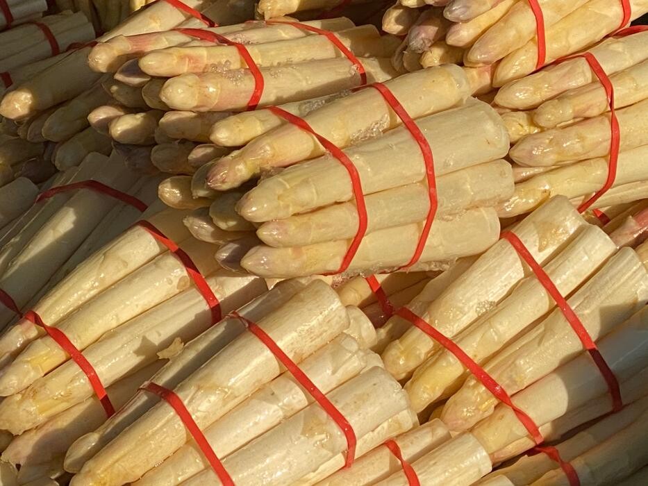 Bilder Somnitz-Früchte