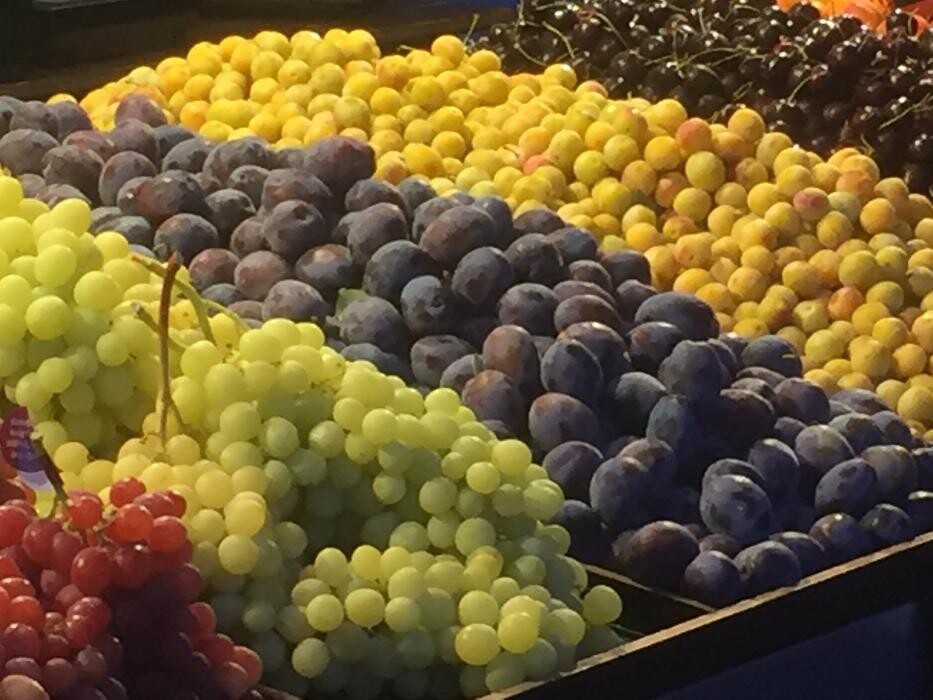 Bilder Somnitz-Früchte