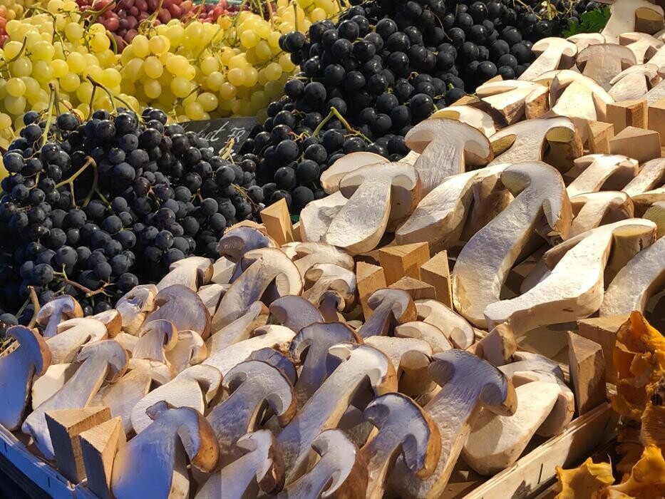 Bilder Somnitz-Früchte