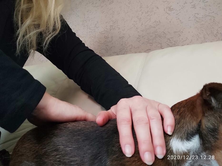 Bilder Reiki & mehr