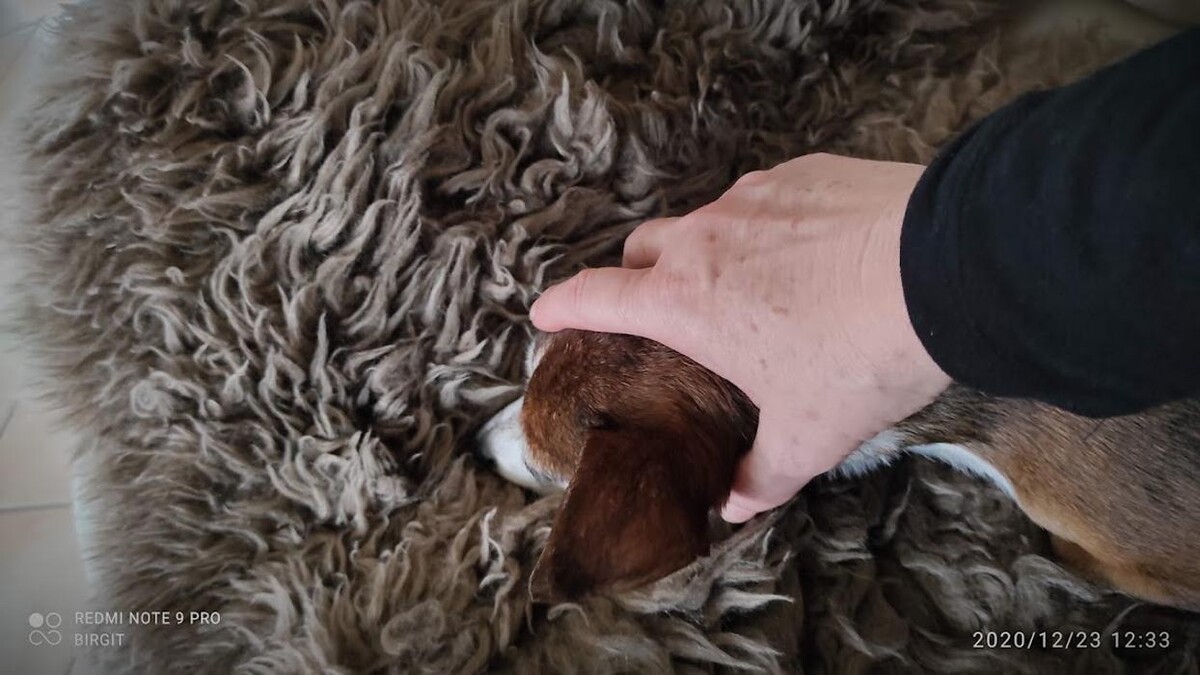 Bilder Reiki & mehr