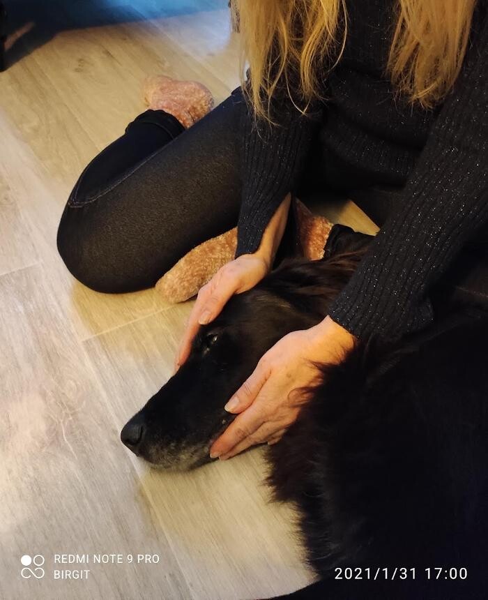 Bilder Reiki & mehr