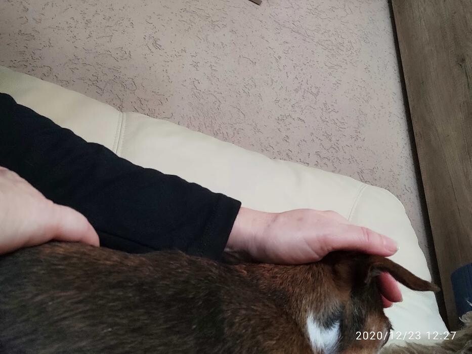 Bilder Reiki & mehr
