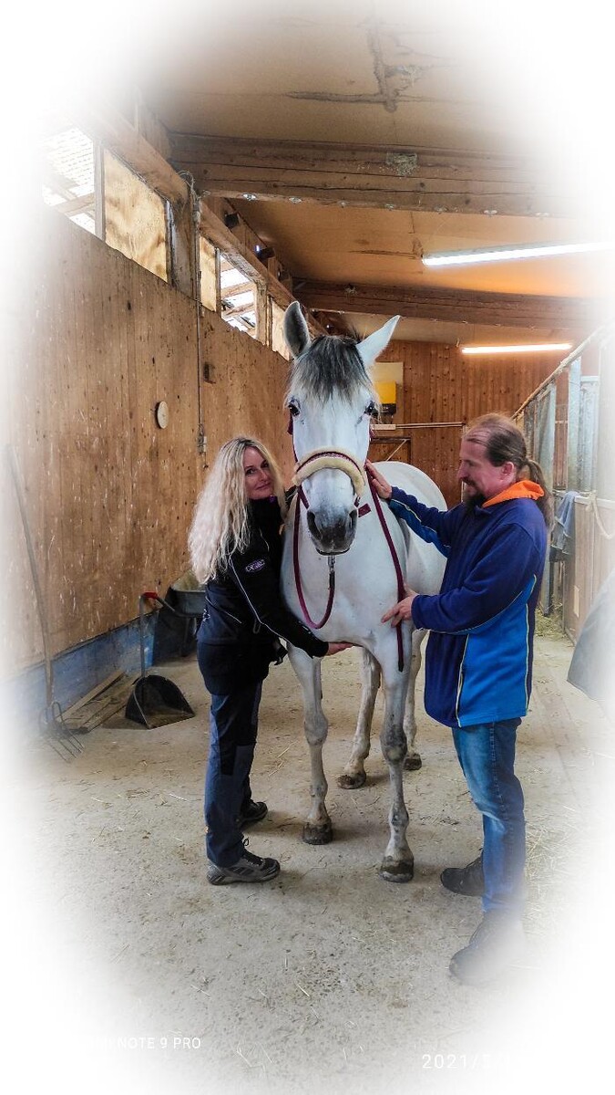 Bilder Reiki & mehr