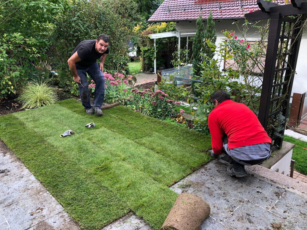 Bilder Noci-Bau-Karlsruhe