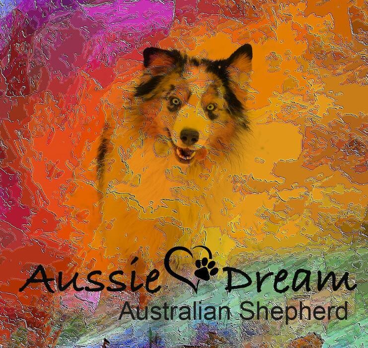 Aussie Dream & Mini Aussie Dream Logo