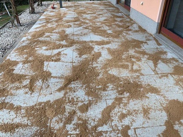 Bilder Garten- Landschaftsgestaltung Scheinert