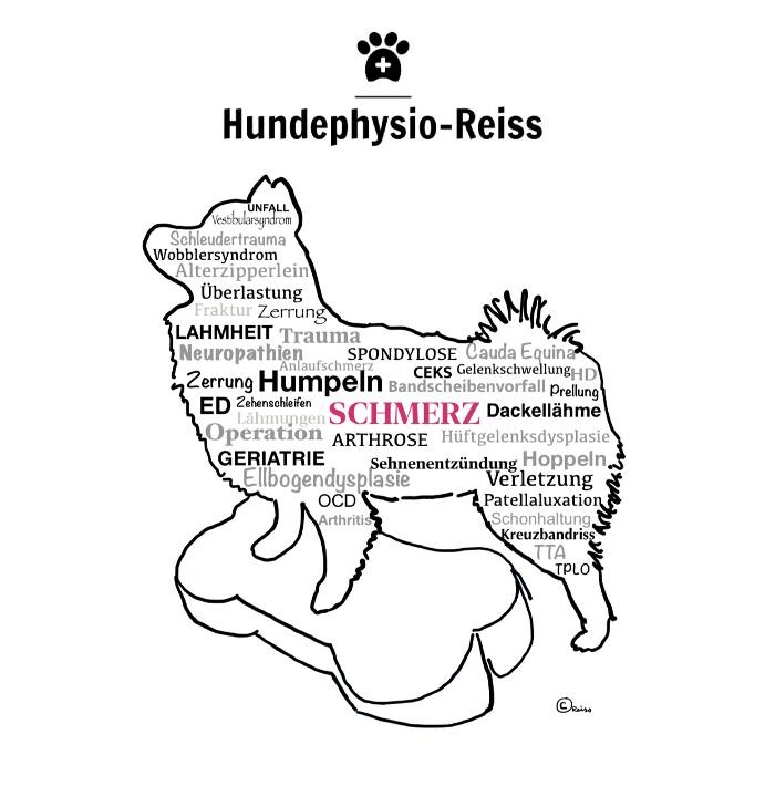 Bilder Hundephysio-Reiss