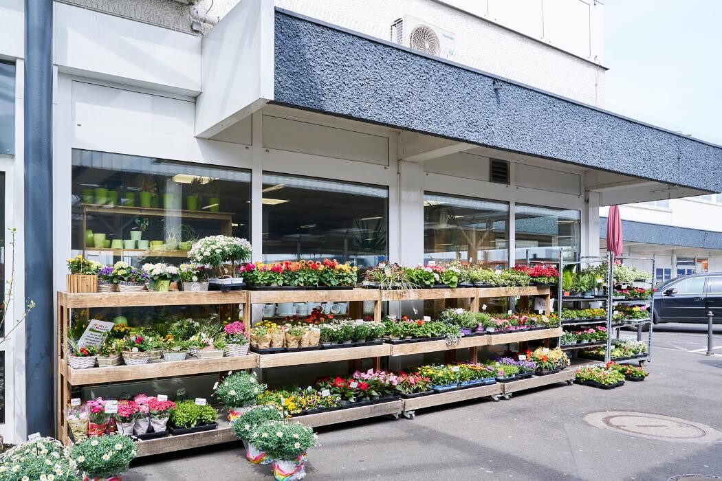 Bilder Kaufland Neuss-Vogelsang