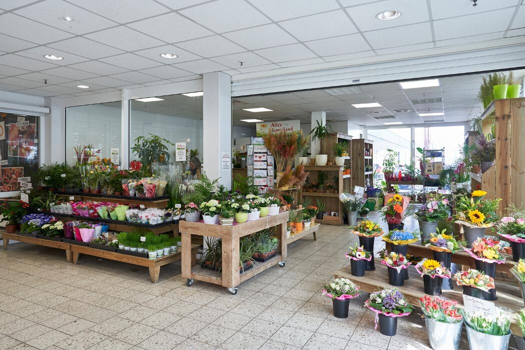 Bilder Kaufland Neuss-Vogelsang