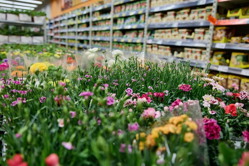 Bilder Kaufland Iserlohn-Innenstadt