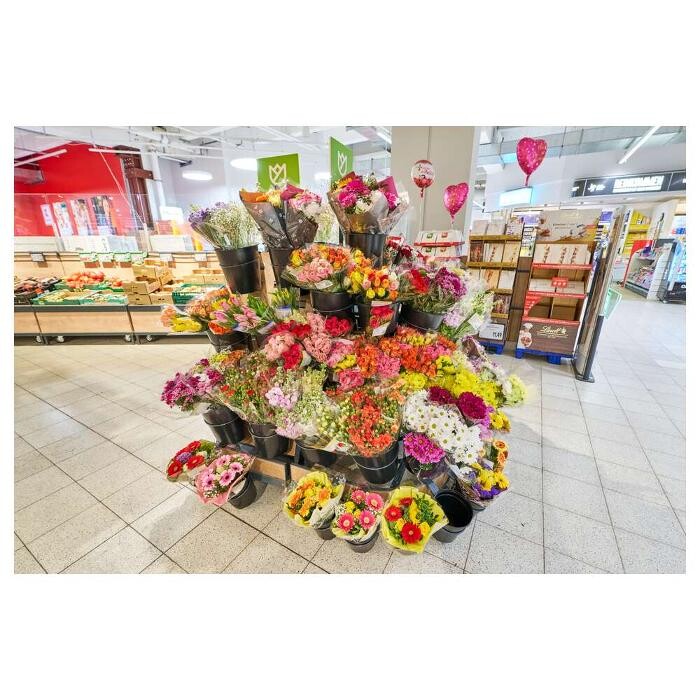 Bilder Kaufland Suhl
