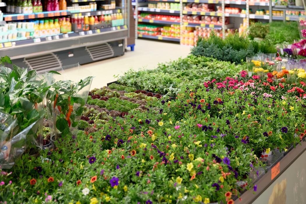 Bilder Kaufland Bochum-Wattenscheid