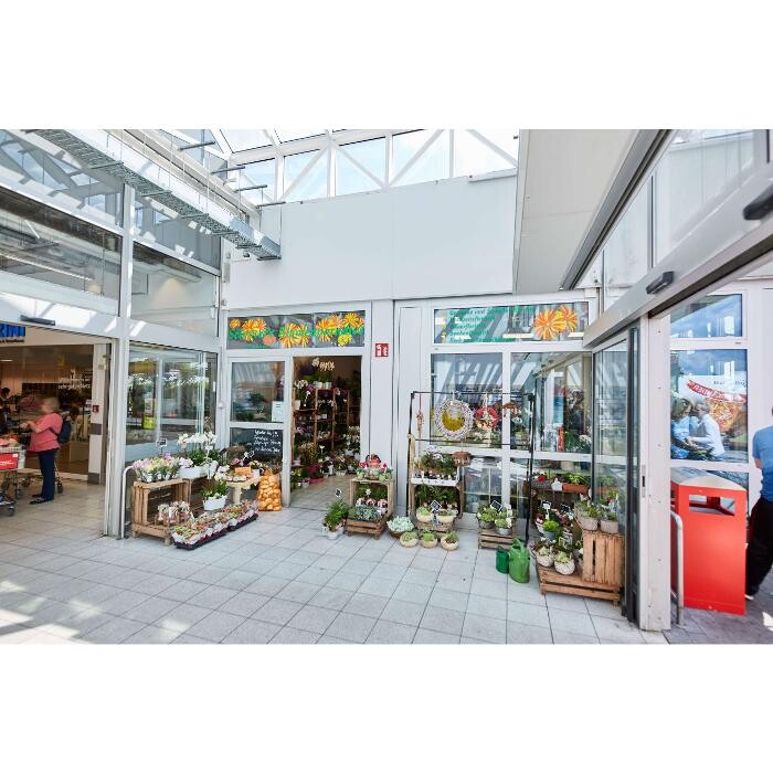 Bilder Kaufland Köthen