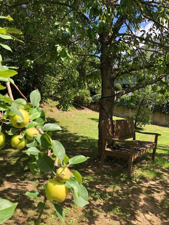 Bilder Ferienhaus Villa am Bleidenberg