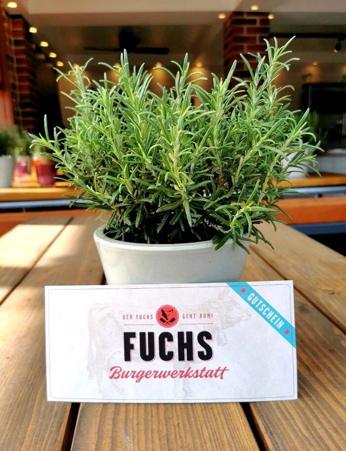 Bilder Der Fuchs geht rum Burgerwerkstatt