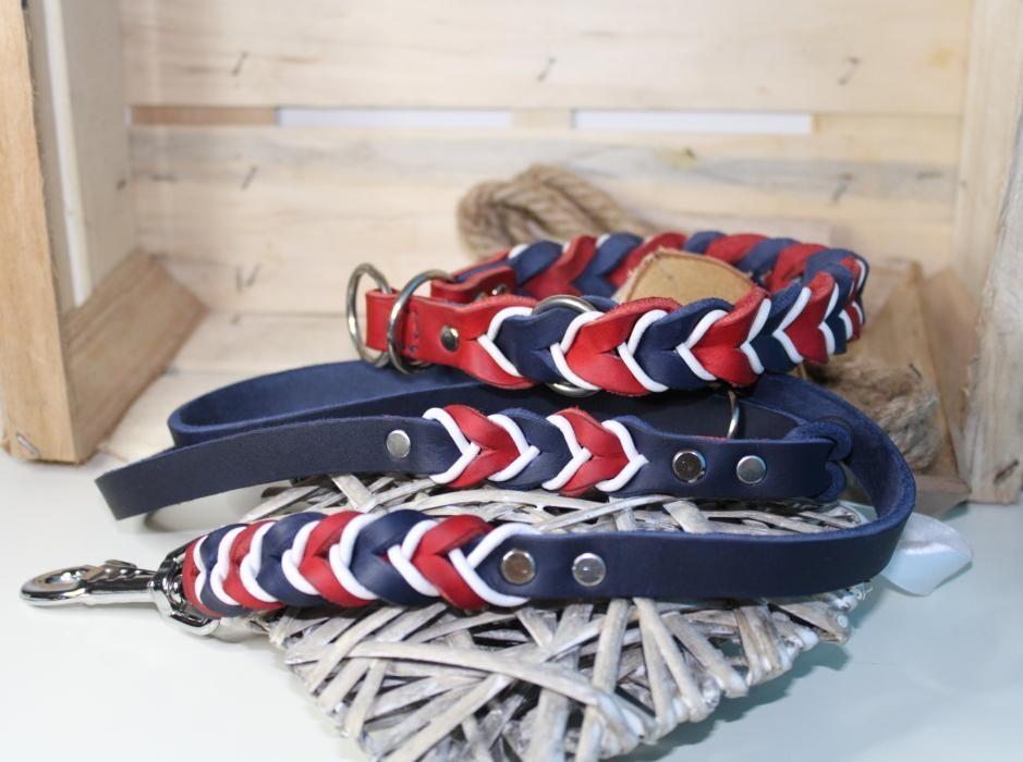 Tiban for Dogs Logo