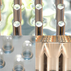 Bilder Dr. Werner Pharmafood GmbH