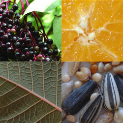 Bilder Dr. Werner Pharmafood GmbH