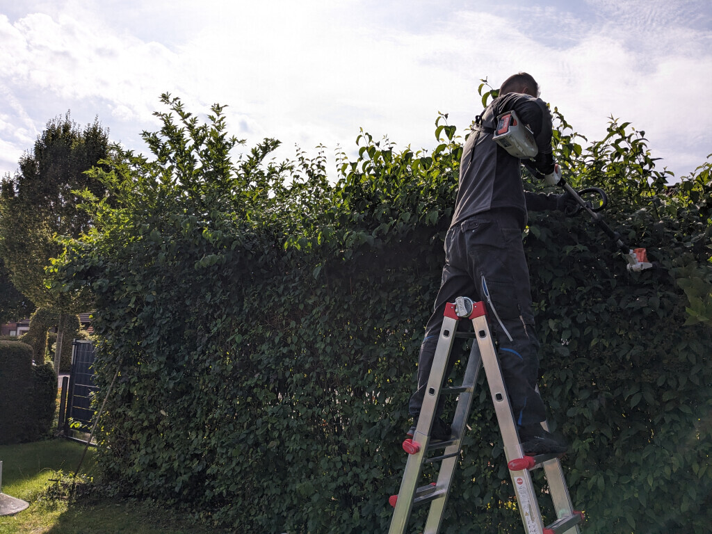 Bilder A & O Gebäudeservice