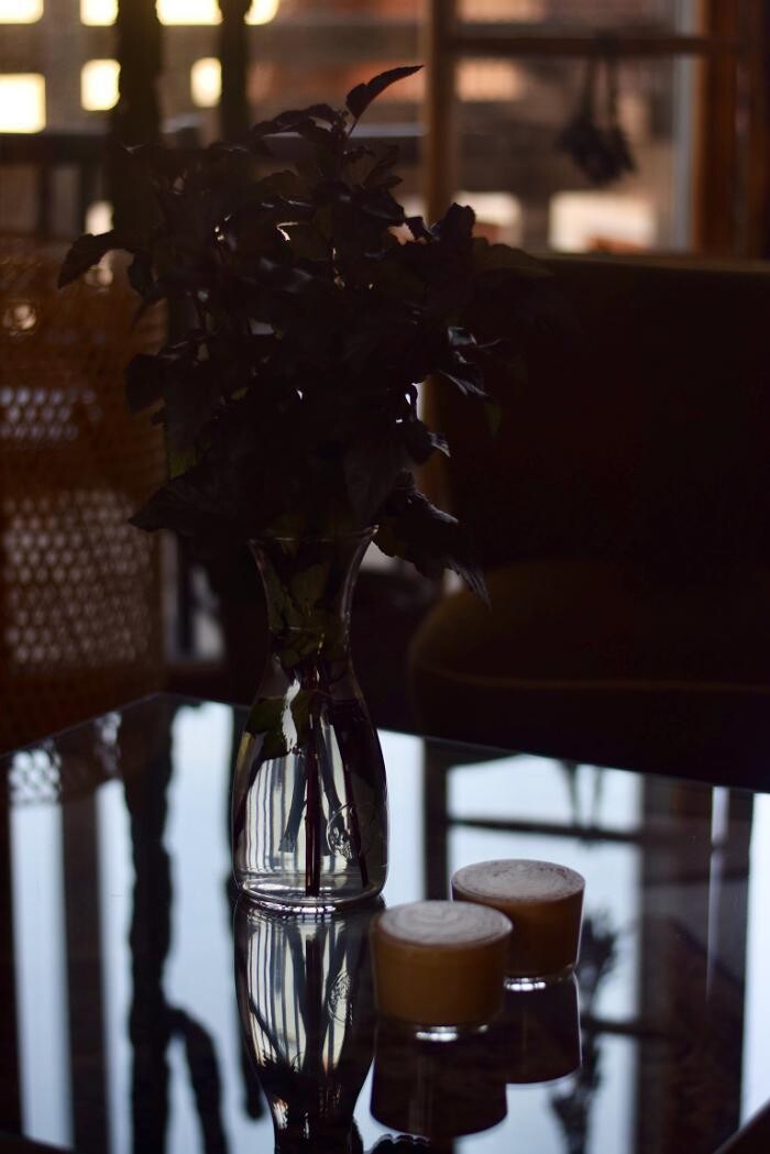 Bilder Philia Coffea