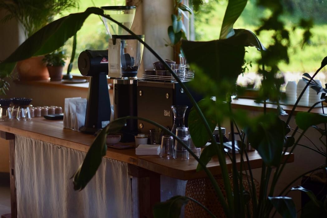 Bilder Philia Coffea