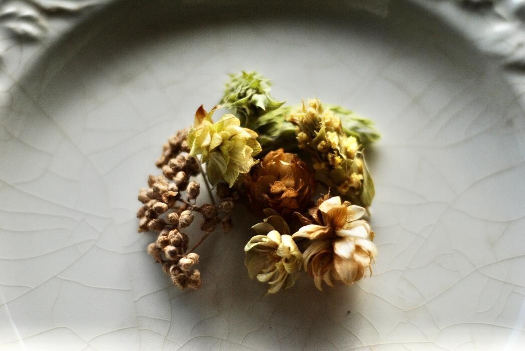 Bilder Philia Coffea