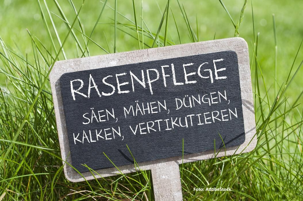 Bilder Die Hausmeisterei