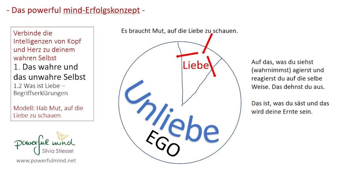 Bilder Silvia Stiessel - Coaching und Beratung