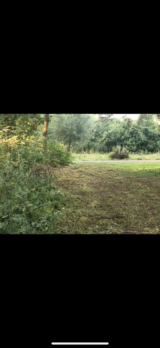 Bilder Grünschnitt-Ismaning