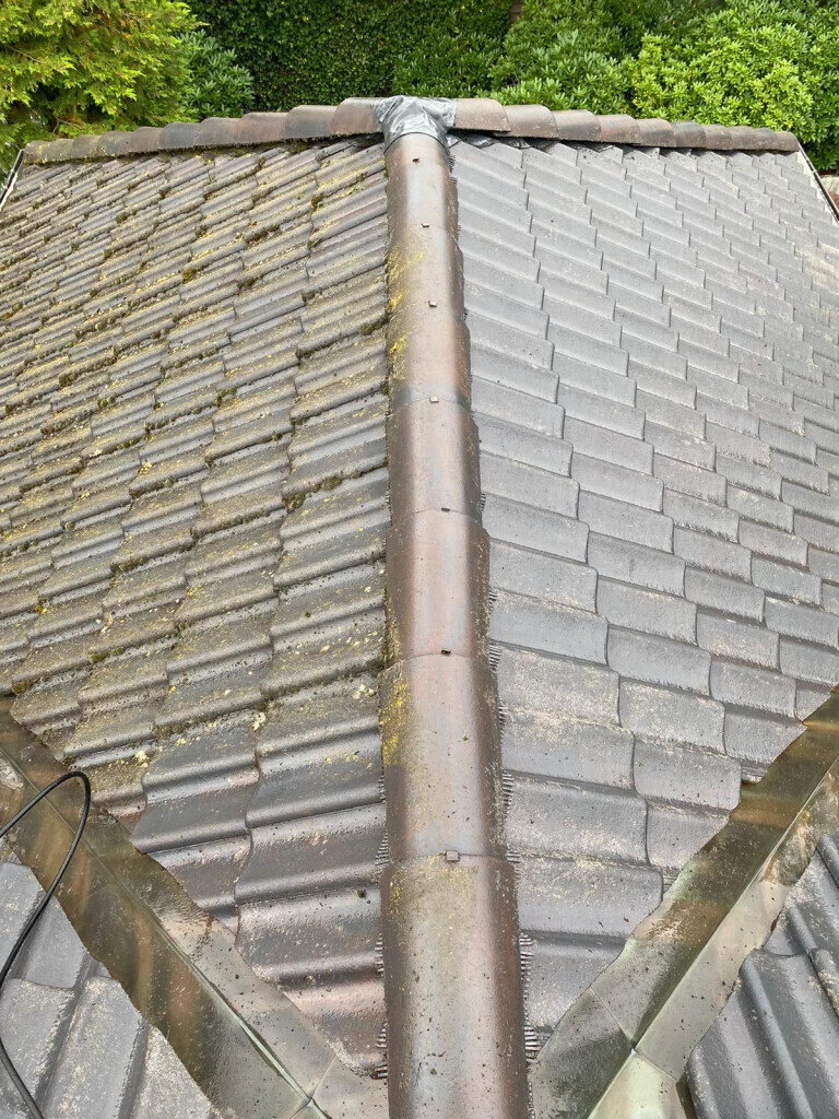 Bilder CLEANILO - Professionelle Dienstleistungen für Privathaushalte und Firmenkunden!