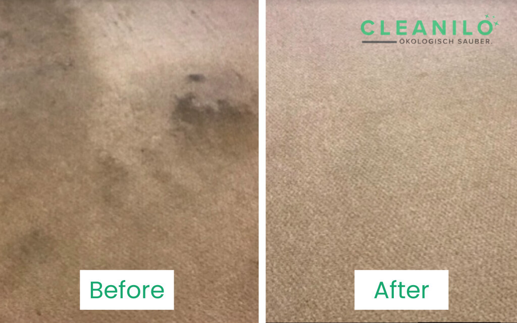 Bilder CLEANILO - Professionelle Dienstleistungen für Privathaushalte und Firmenkunden!