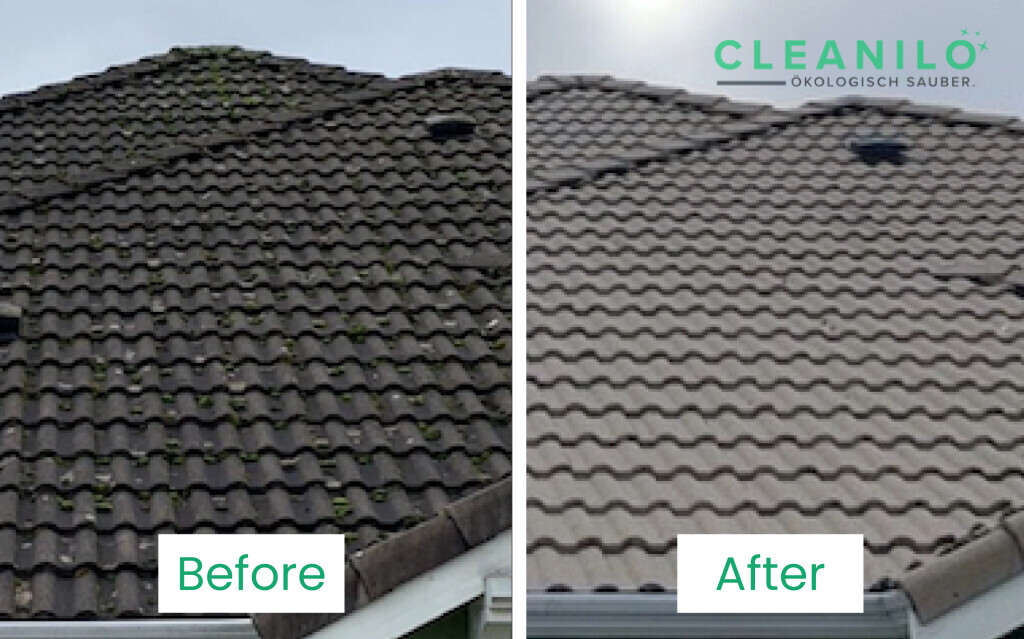 Bilder CLEANILO - Professionelle Dienstleistungen für Privathaushalte und Firmenkunden!