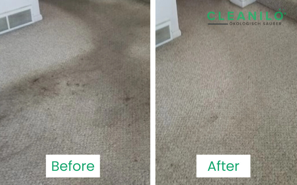 Bilder CLEANILO - Professionelle Dienstleistungen für Privathaushalte und Firmenkunden!