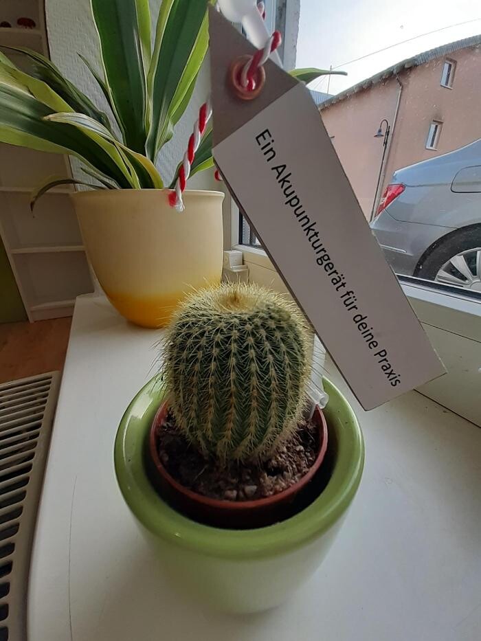 Bilder Praxis für Physiotherapie Annette Brunzlow