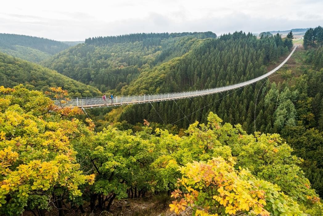 Bilder IMMOHU - Immobilien Service Mosel Rhein Eifel Hunsrück