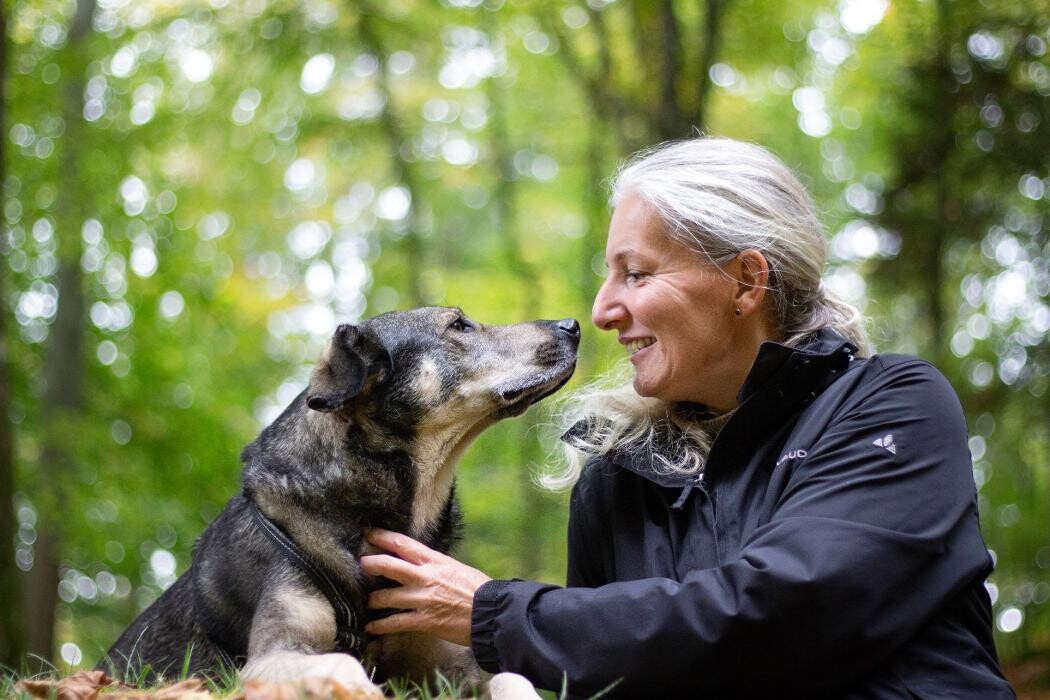 Bilder Ciao Bello! Hundetraining mit Simona