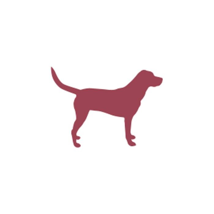 Ciao Bello! Hundetraining mit Simona Logo