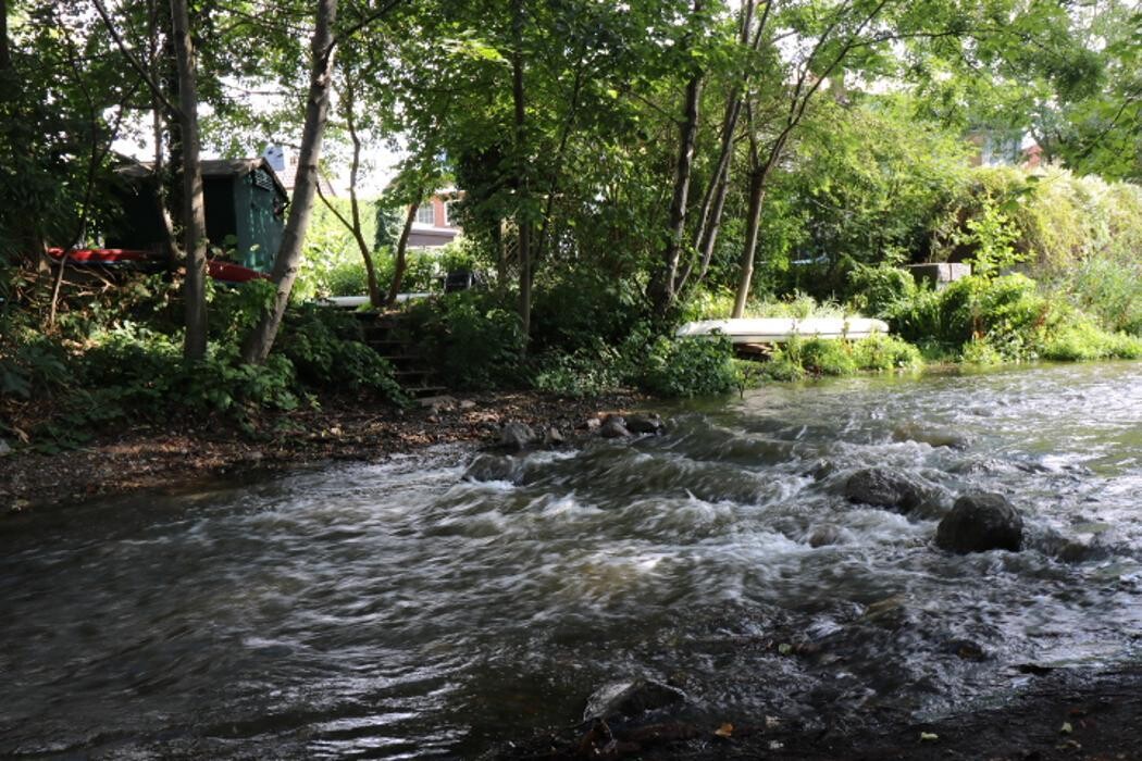 Bilder Ferienwohnungen am Schwanensee