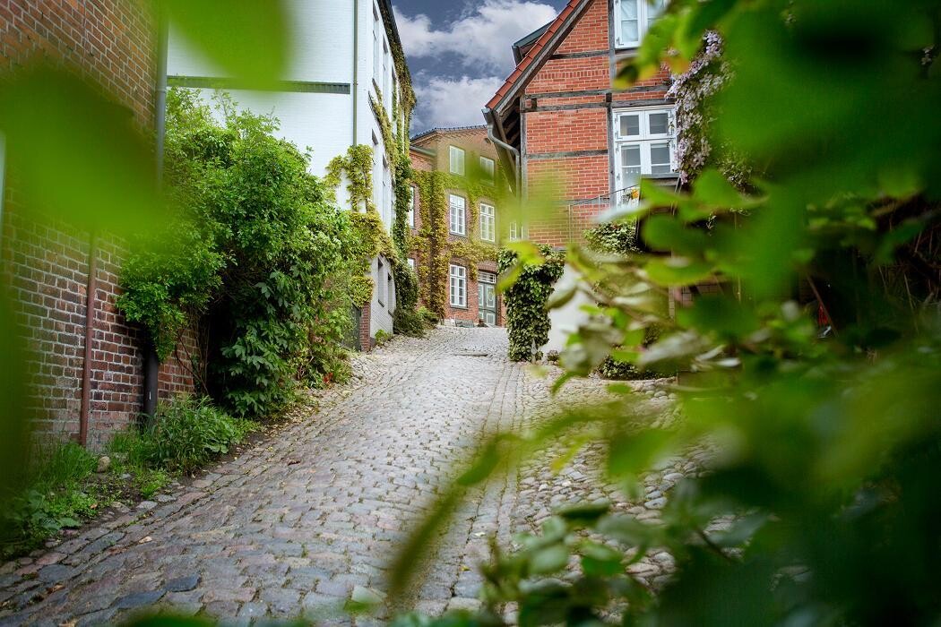 Bilder Ferienwohnungen am Schwanensee