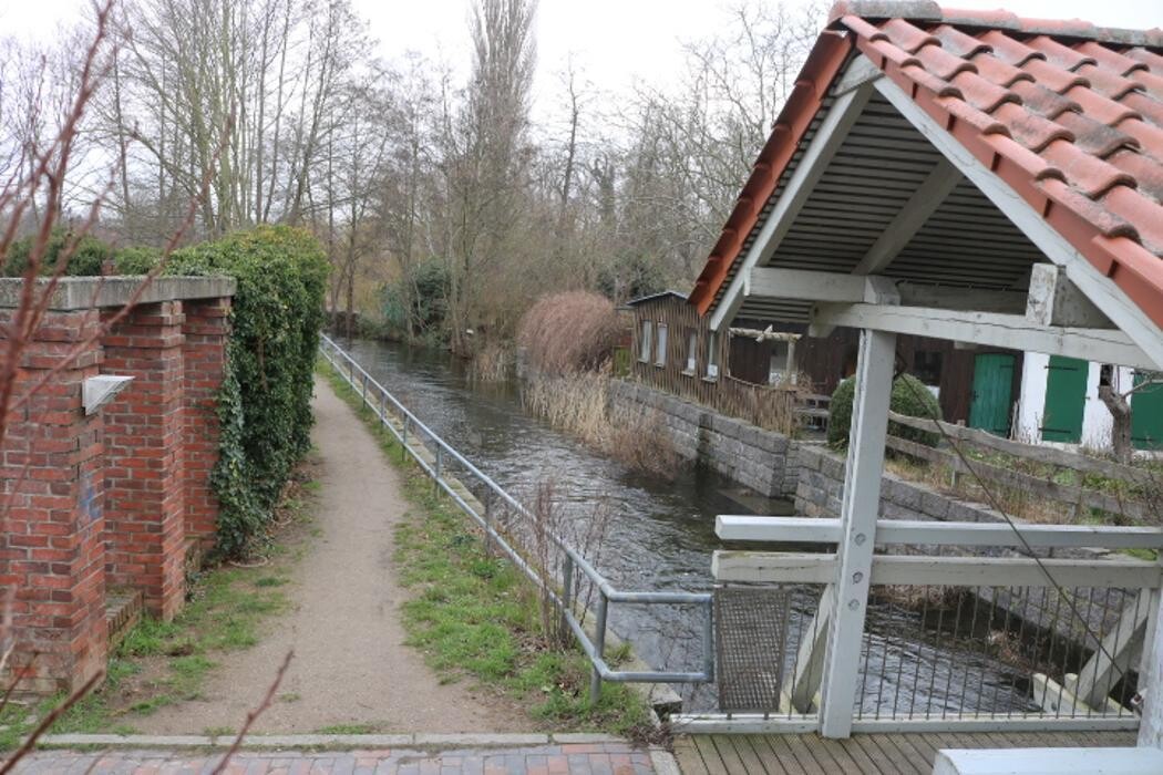 Bilder Ferienwohnungen am Schwanensee