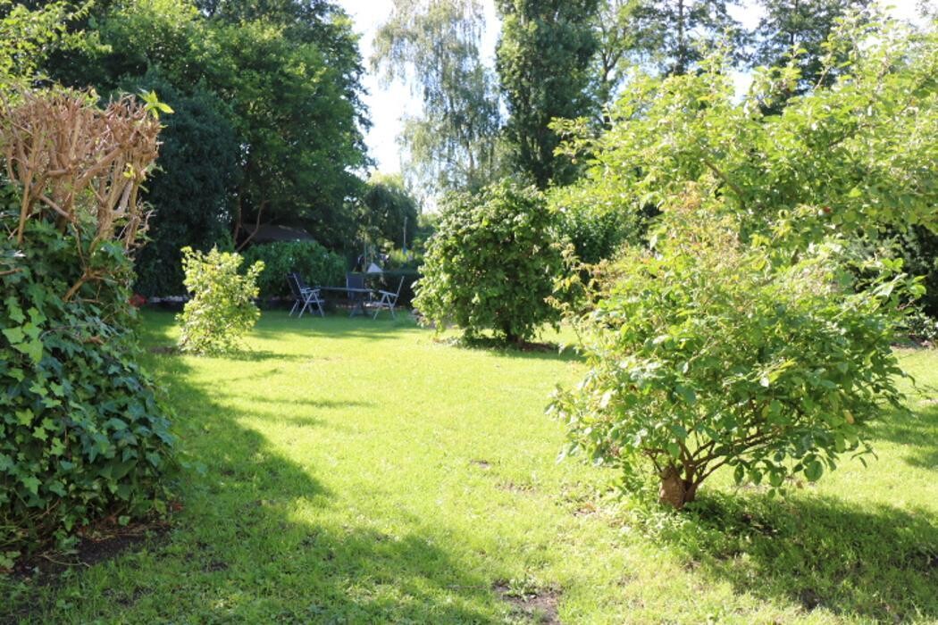 Bilder Ferienwohnungen am Schwanensee