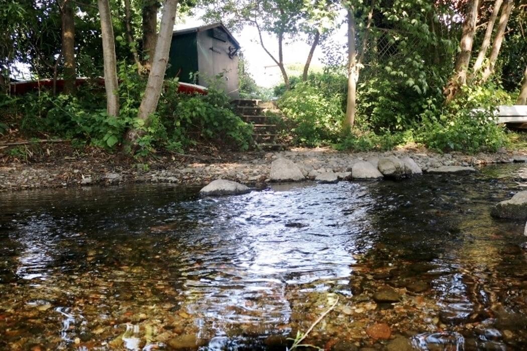 Bilder Ferienwohnungen am Schwanensee
