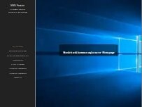 Website Screenshot MSN Fenster