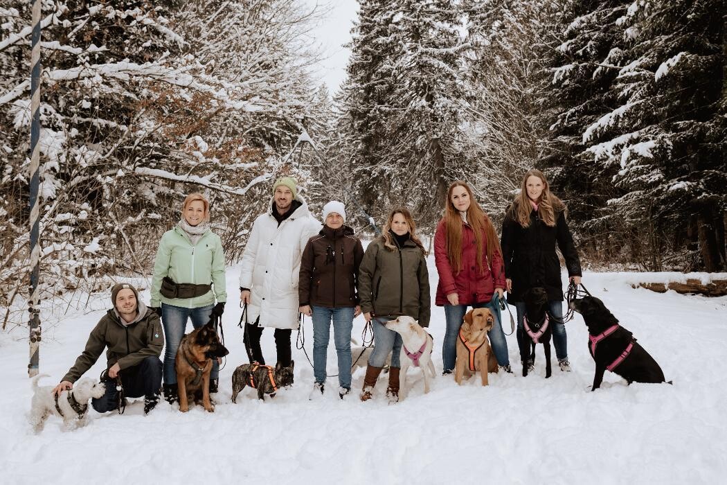 Bilder MEHR Hundeschule