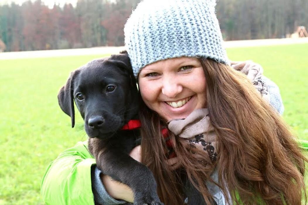 Bilder MEHR Hundeschule
